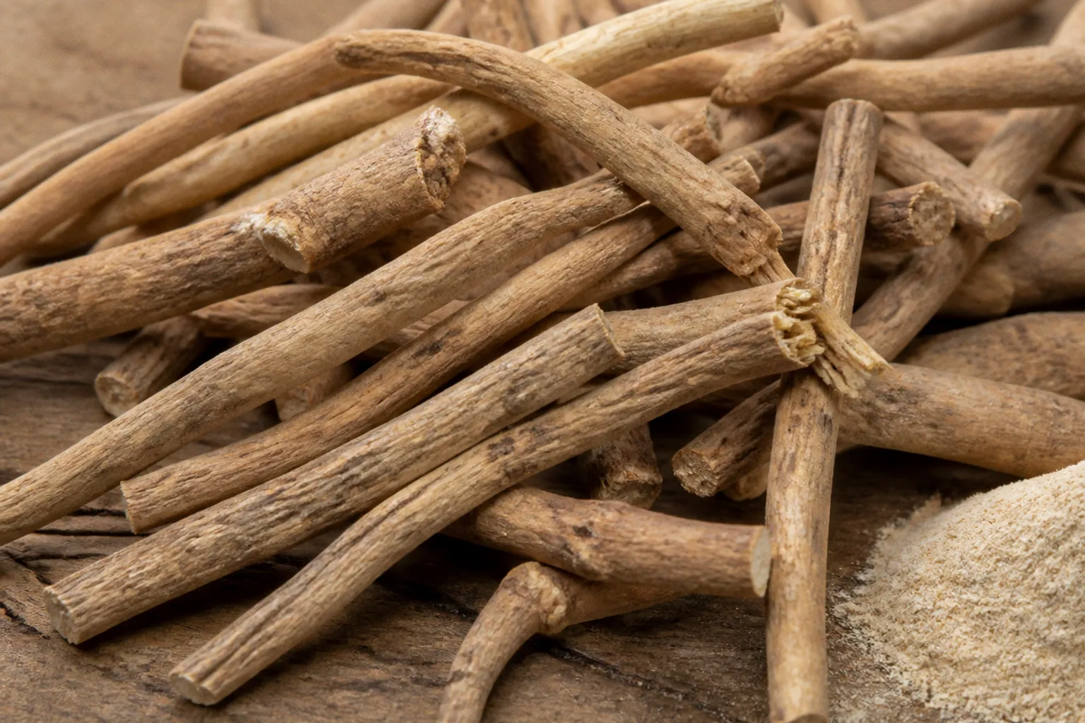 Ashwagandha bei Stress: Was wir von den Überlebenskünstlern der Natur lernen können